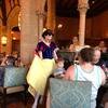 Disney-2018-02-20-181553