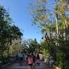 Disney-2018-02-22-081414