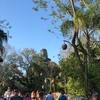 Disney-2018-02-22-081429