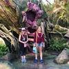 Disney-2018-02-22-081654
