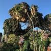 Disney-2018-02-22-081902