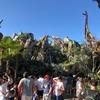 Disney-2018-02-22-091003