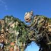 Disney-2018-02-22-091210