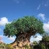 Disney-2018-02-22-094610-1
