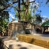 Disney-2018-02-22-101528