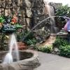 Disney-2018-02-22-172108
