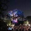 Disney-2018-02-22-194747