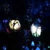 Disney-2018-02-22-195313