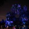 Disney-2018-02-22-195544
